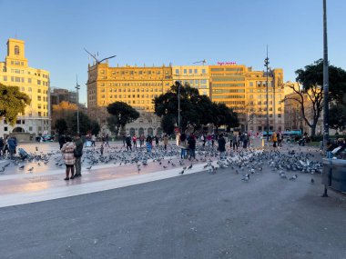 Katalonya meydanını ziyaret eden turistler Barselona 'da güvercinlerle dolular.