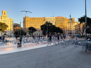 Katalonya meydanını ziyaret eden turistler Barselona 'da güvercinlerle dolular.