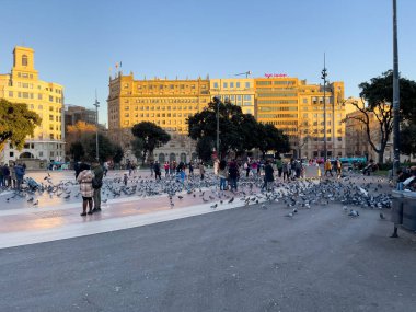 Katalonya meydanını ziyaret eden turistler Barselona 'da güvercinlerle dolular.
