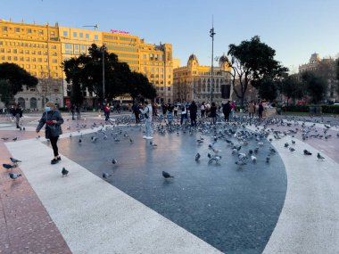 Katalonya meydanını ziyaret eden turistler Barselona 'da güvercinlerle dolular.