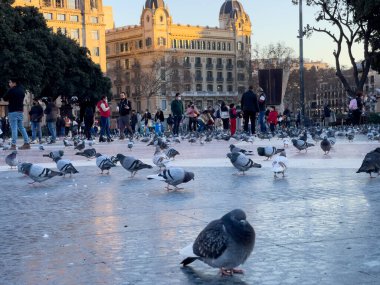 Katalonya meydanını ziyaret eden turistler Barselona 'da güvercinlerle dolular.