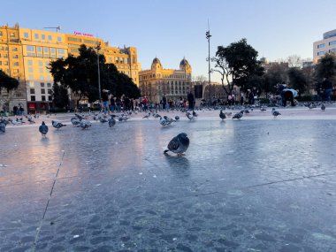 Katalonya meydanını ziyaret eden turistler Barselona 'da güvercinlerle dolular.