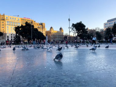 Katalonya meydanını ziyaret eden turistler Barselona 'da güvercinlerle dolular.