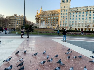 Katalonya meydanını ziyaret eden turistler Barselona 'da güvercinlerle dolular.