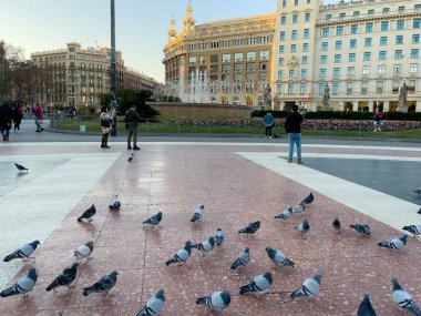 Katalonya meydanını ziyaret eden turistler Barselona 'da güvercinlerle dolular.