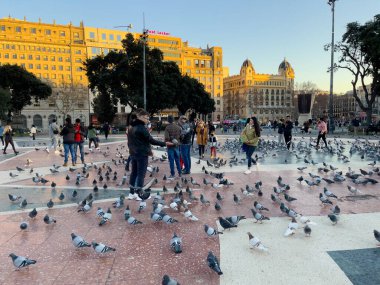 Katalonya meydanını ziyaret eden turistler Barselona 'da güvercinlerle dolular.