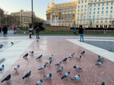 Katalonya meydanını ziyaret eden turistler Barselona 'da güvercinlerle dolular.