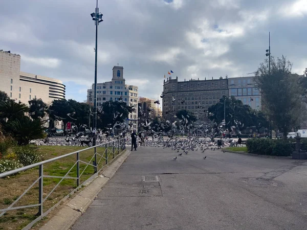 Katalonya meydanını ziyaret eden turistler Barselona 'da güvercinlerle dolular.