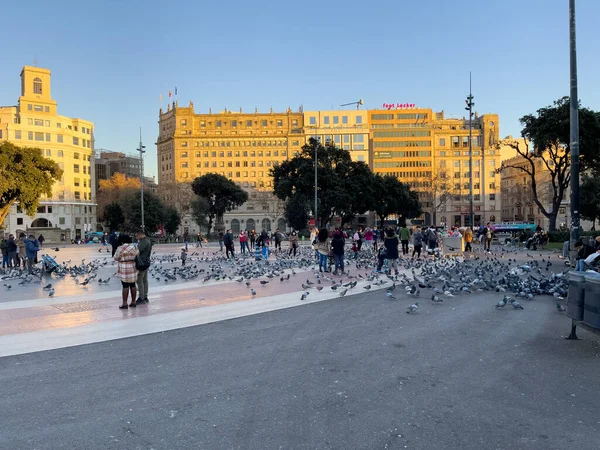 바르셀로나에 비둘기로 붐비는 카탈루냐 문하는 관광객들 — 스톡 사진