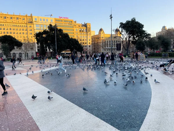 游览加泰罗尼亚广场的游客挤满了巴塞罗那的鸽子 — 图库照片