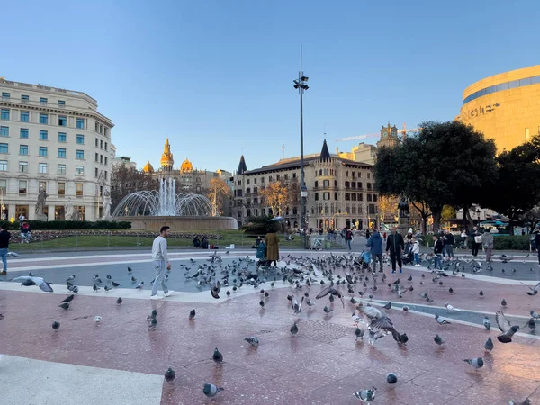바르셀로나에 비둘기로 붐비는 카탈루냐 문하는 관광객들 — 스톡 사진