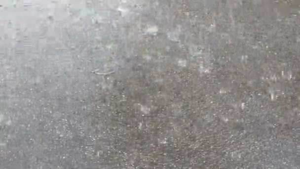 Duże Krople Deszczu Spadające Asfaltową Drogę — Wideo stockowe