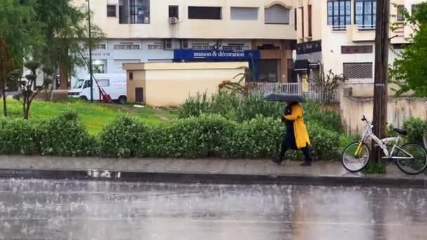 Femme Marchant Avec Son Parapluie Sur Côté Rue Pendant Une — Video
