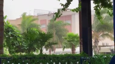 Fırtınalı bir günde otobüsler yol alır