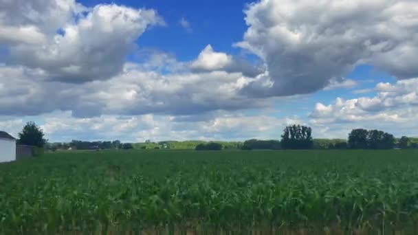 Belçika Nın Kırsal Kesimindeki Yan Binaların Araba Penceresi Manzarası — Stok video
