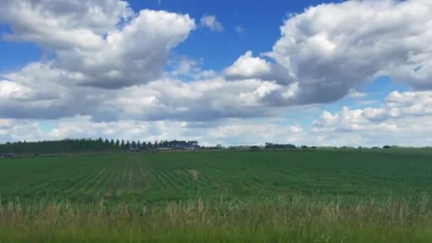 Belçika Daki Tarım Alanlarının Üzerinden Araba Penceresi Görünümü — Stok video