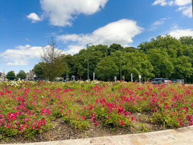 Bruxelles 'de bir kavşağın etrafında araba sürüyor.