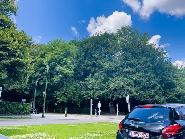 Bruxelles 'de halka açık bir parkın yanında araba sürüyor.