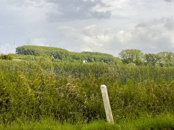 Belçika 'da otoyolda araba sürüyor.