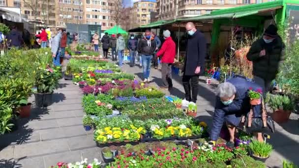 Einheimische Kaufen Pflanzen Für Ihre Gärten Auf Dem Wochenmarkt — Stockvideo