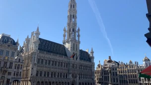 Люди Які Висять Великому Місці Брюсселя — стокове відео