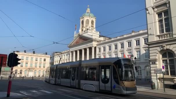 布鲁塞勒皇家广场经过的电车 — 图库视频影像