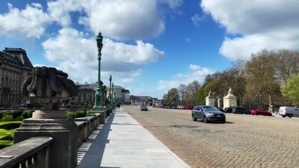 Few Cars Driving Road Next Royal Palace Bruxelles — Wideo stockowe