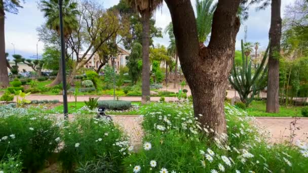 Jardín Público Vacío Primavera — Vídeo de stock