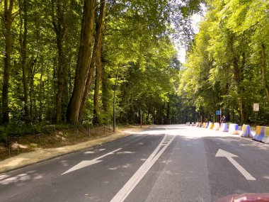 Empty road through the forest in Belgium