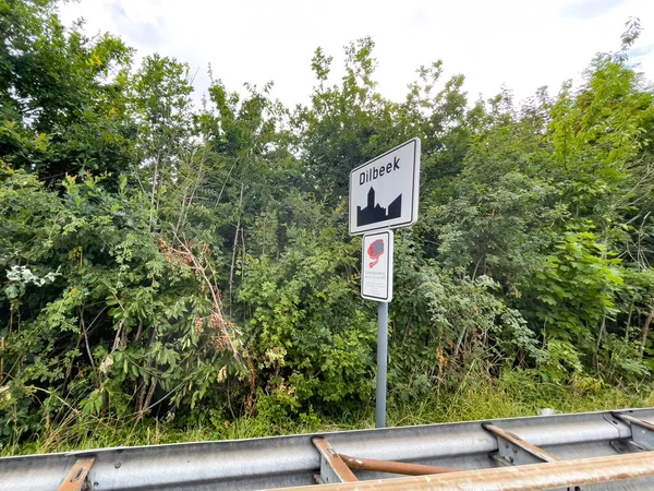 Arka Planda Park Ağaçları Olan Dilbeek Sokak Tabelası — Stok fotoğraf