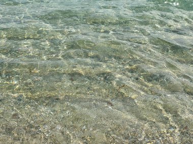 Deniz suyunun yeşil parıldayan yüzeyi