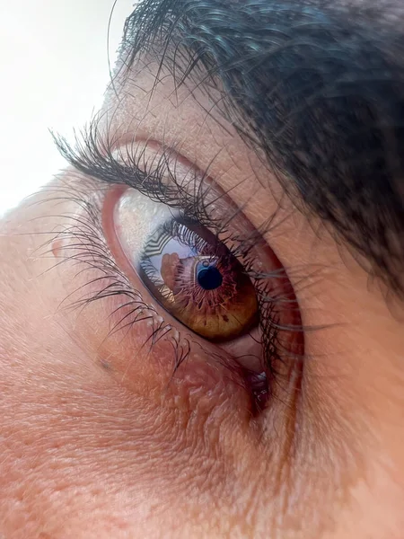 Closeup Shot Glowing Brown Male Eye — Foto de Stock
