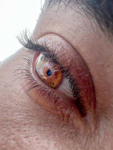 Closeup Shot Glowing Brown Male Eye — Foto de Stock
