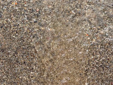 Sahil şeridinde şeffaf deniz suyu