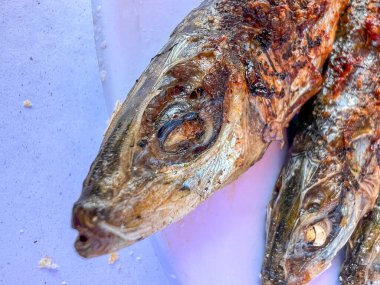 Beyaz bir tabakta ızgara sardalya.