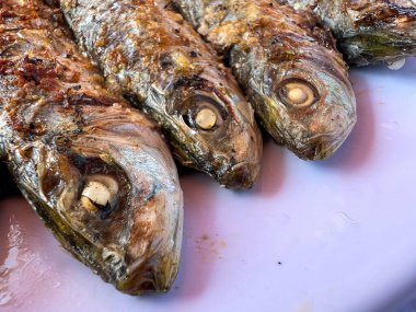 Beyaz bir tabakta ızgara sardalya.