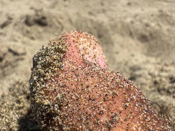 Closeup Male Feet Covered Sand Beach — Stock Photo, Image