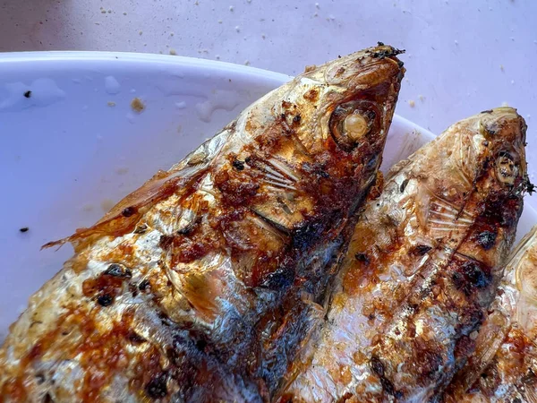 Closeup Grilled Sardines White Plate — Fotografie, imagine de stoc