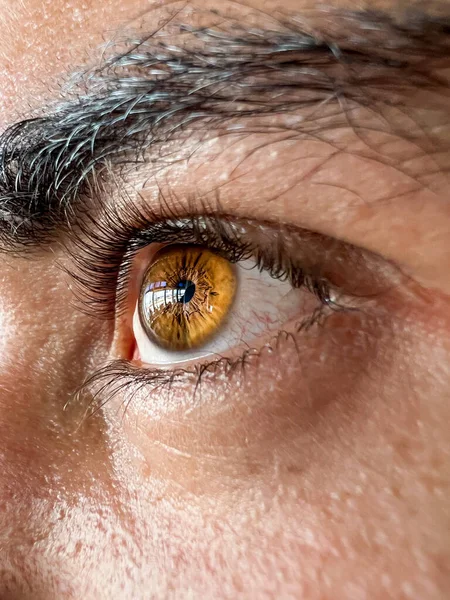 Glowing Brown Male Eye Black Eyebrow — Foto de Stock