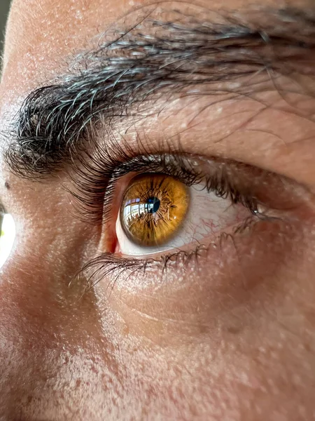 Glowing Brown Male Eye Black Eyebrow — Foto de Stock