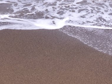 A gentle sea wave on a sandy beach