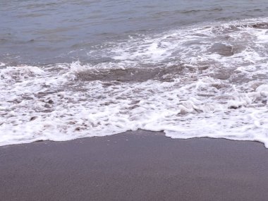 A gentle sea wave on a sandy beach