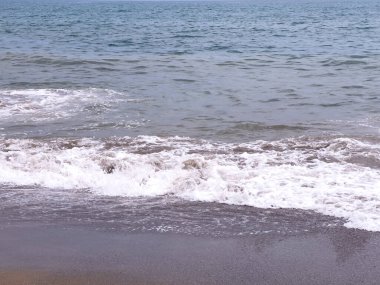 A gentle sea wave on a sandy beach
