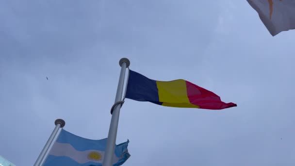 Румунський Прапор Пурхає Хмарним Небом Задньому Плані — стокове відео