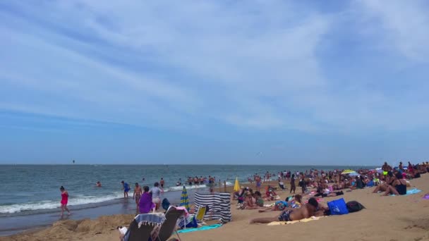 Crowd People Enjoying Summer Knokke Beach — Stock video