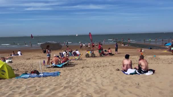 Crowd People Enjoying Summer Knokke Beach — 비디오