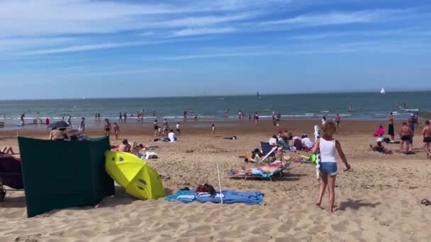 Crowd People Enjoying Summer Knokke Beach — Stockvideo