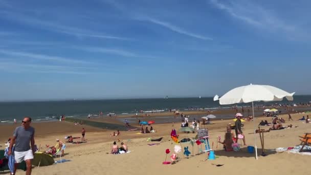 Crowd People Enjoying Summer Knokke Beach — Stockvideo