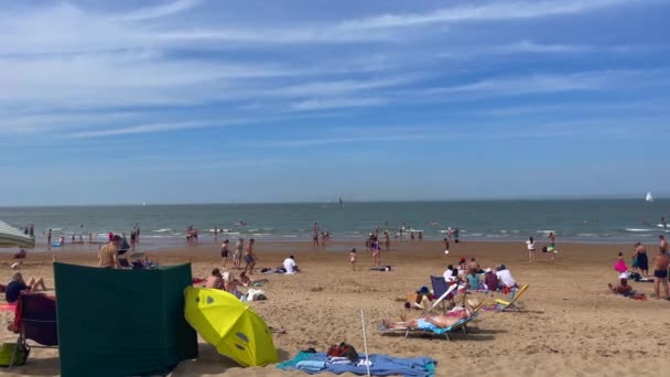 Crowd People Enjoying Summer Knokke Beach — Vídeo de stock