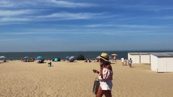 Crowd People Enjoying Summer Knokke Beach — Stockvideo